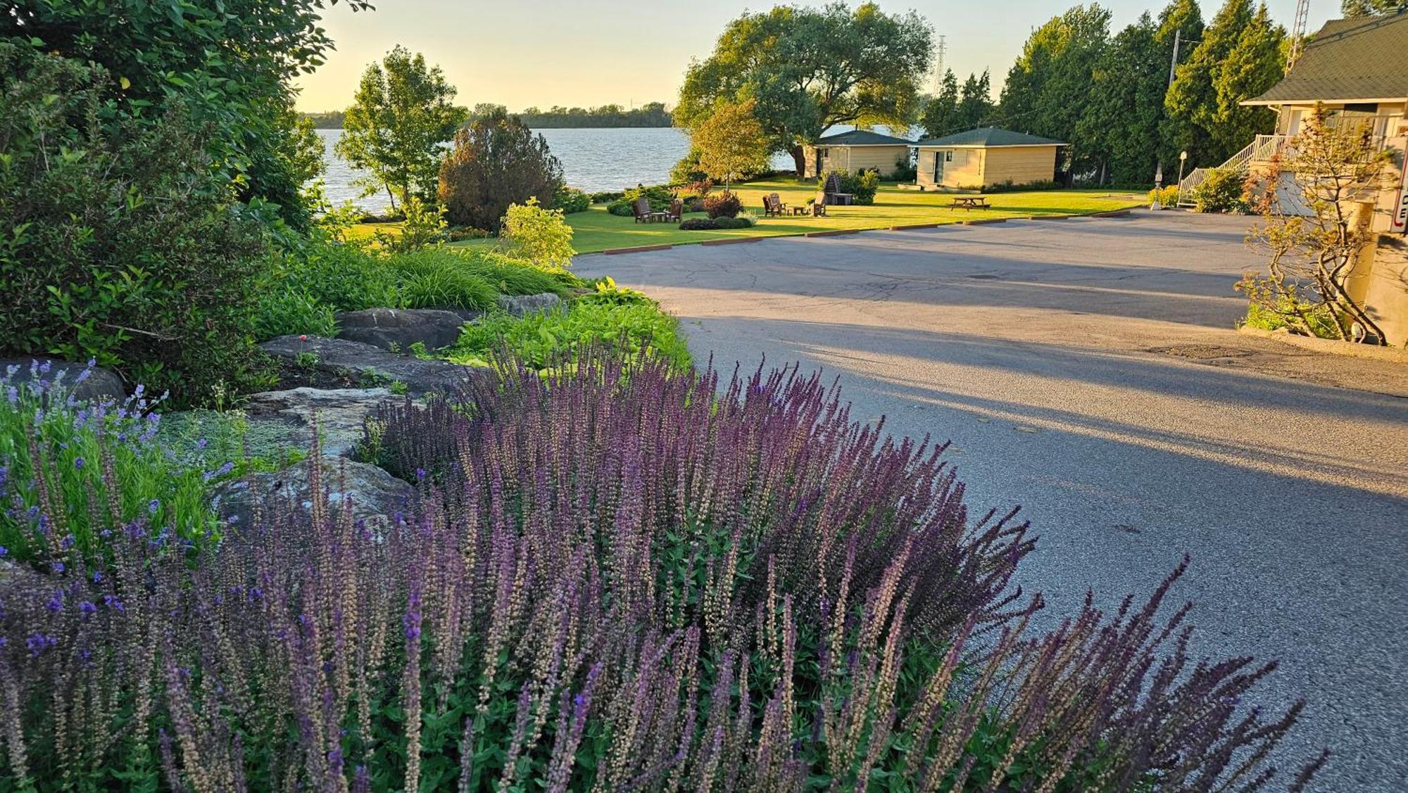 Hotel Oasis Lac St-Louis Salaberry-de-Valleyfield Luaran gambar