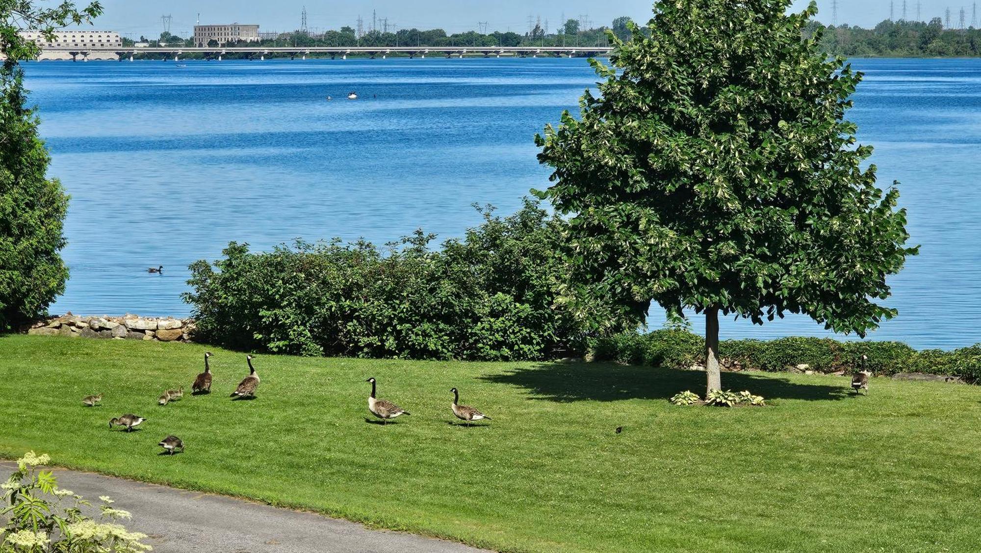 Hotel Oasis Lac St-Louis Salaberry-de-Valleyfield Luaran gambar